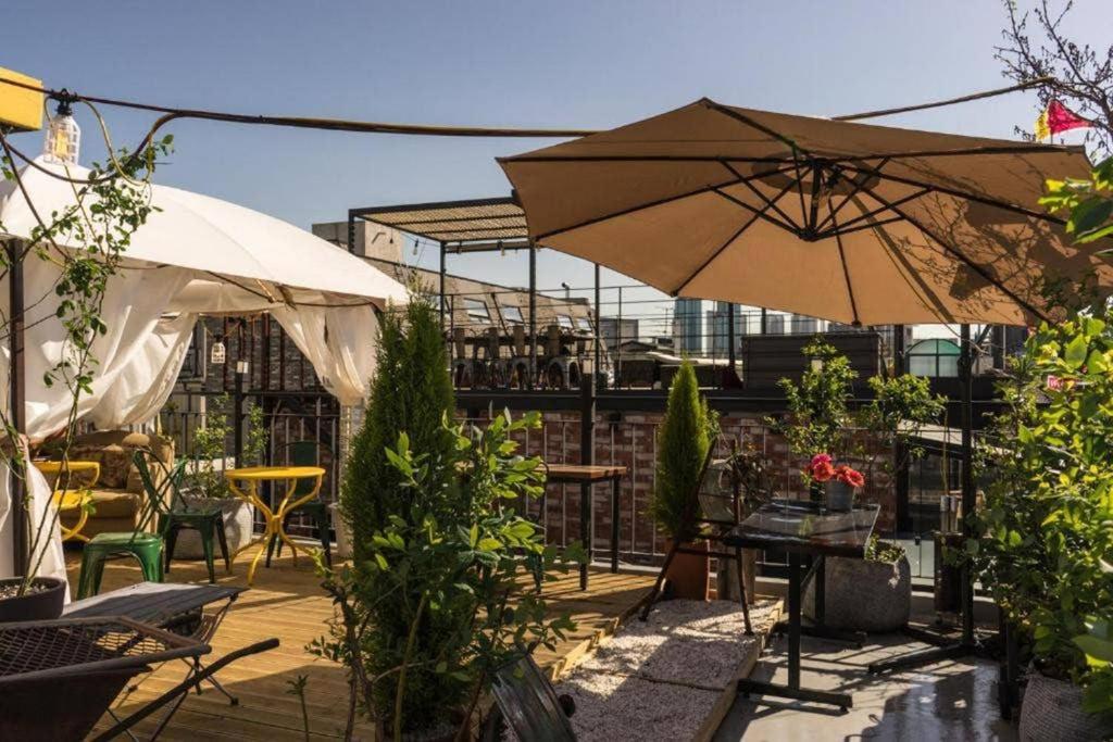 Hongdae Rooftop Garden
